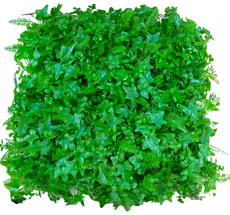 گرین وال طرح پاپیتال سیکاس