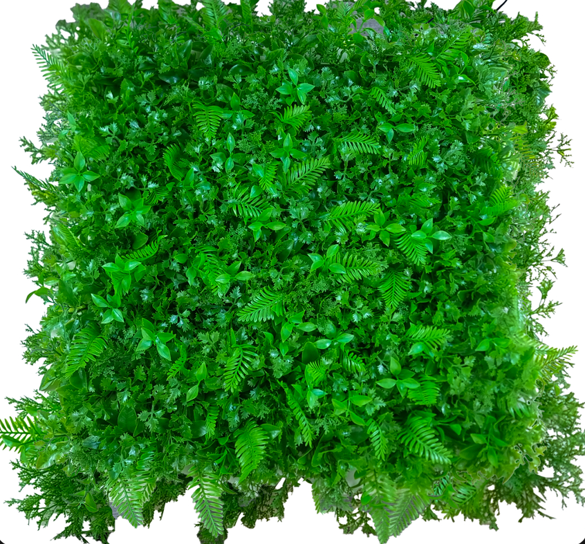 گرین وال طرح سیکاس کاج