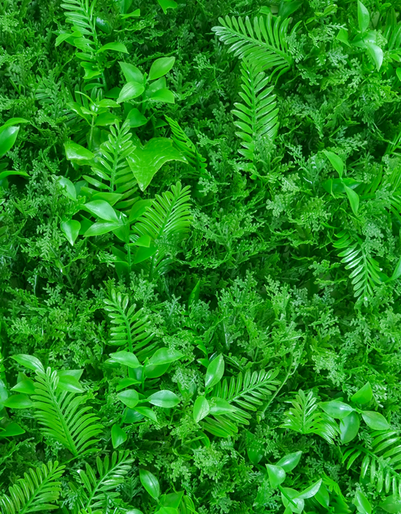 گرین وال طرح سیکاس کاج