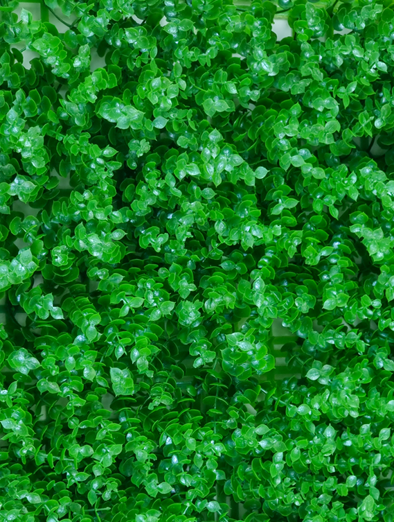 گرین وال طرح شمشادی ساده