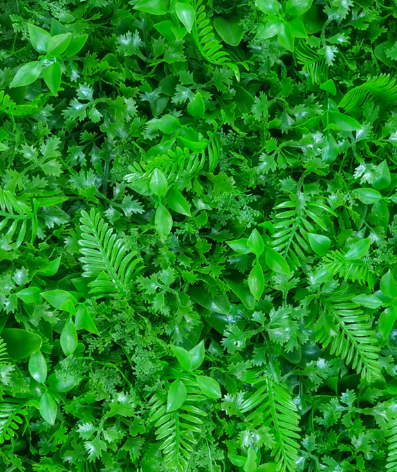 گرین وال طرح گیشنیز سیکاس